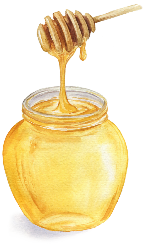Watercolor Honey Jar